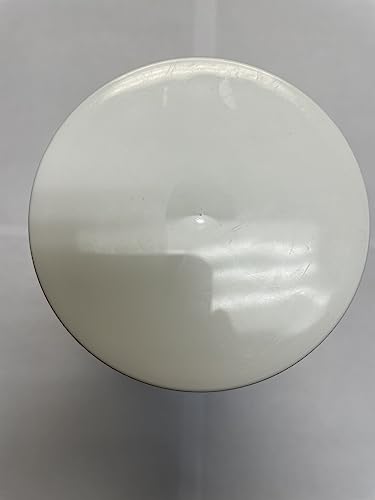 Core Nutritionals Fury V2: Pre-Workout Powder to Maximize Performance in The Gym W/Zum-XR® Caffeine, L-CItruline, and Alpha GPC (40 Scoops) (Tropic Thunder)