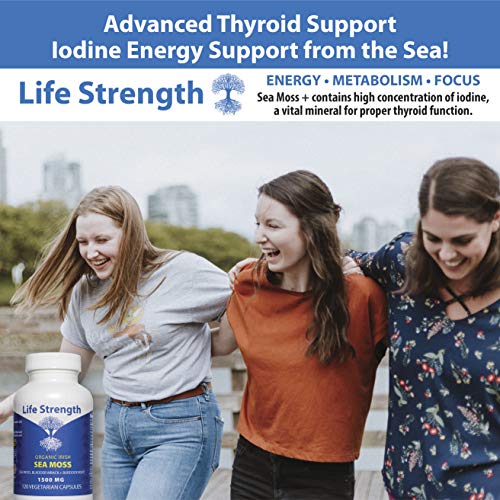 Life Strength Organic Sea Moss 120 CT Wildcrafted Irish Sea Moss and Bladderwrack Burdock Life Strength