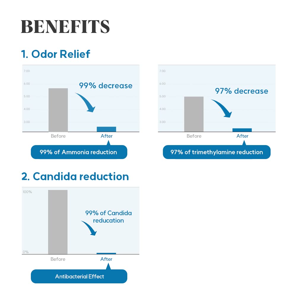 LACTOMEDI Feminine Foaming Wash | Gentle Foam Cleanser for Intimate Hygiene | pH-Balanced Formula LACTOMEDI