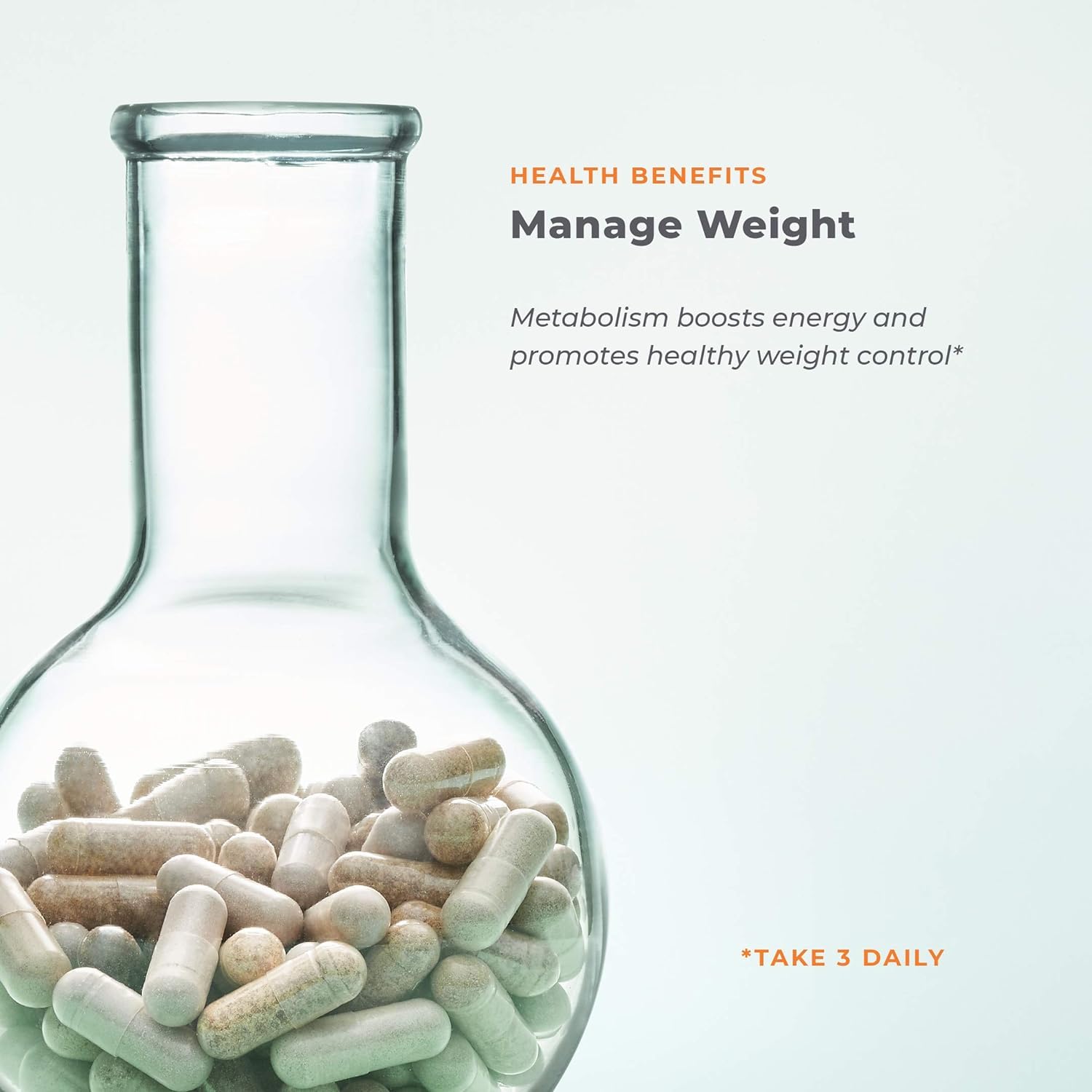 LifeSeasons - Metabolism - Weight Control Support & Energy Boosting Supplement
