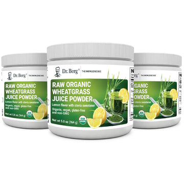 Dr. Berg's Raw Wheatgrass Juice Powder (60 Servings) - USDA Certified Organic