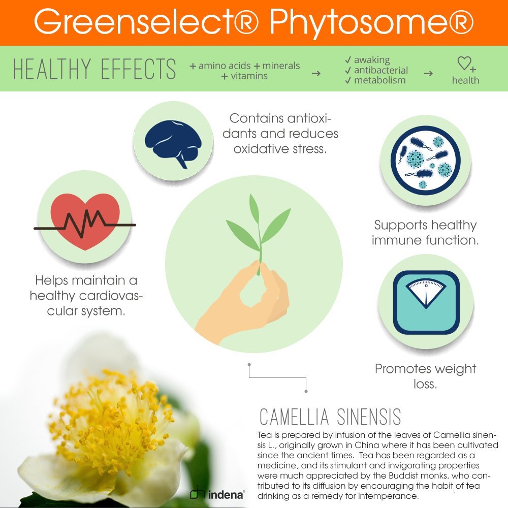 Genius Probiotics for Weight Loss with Green Tea Extract - Fat Burner Supplement & Digestive