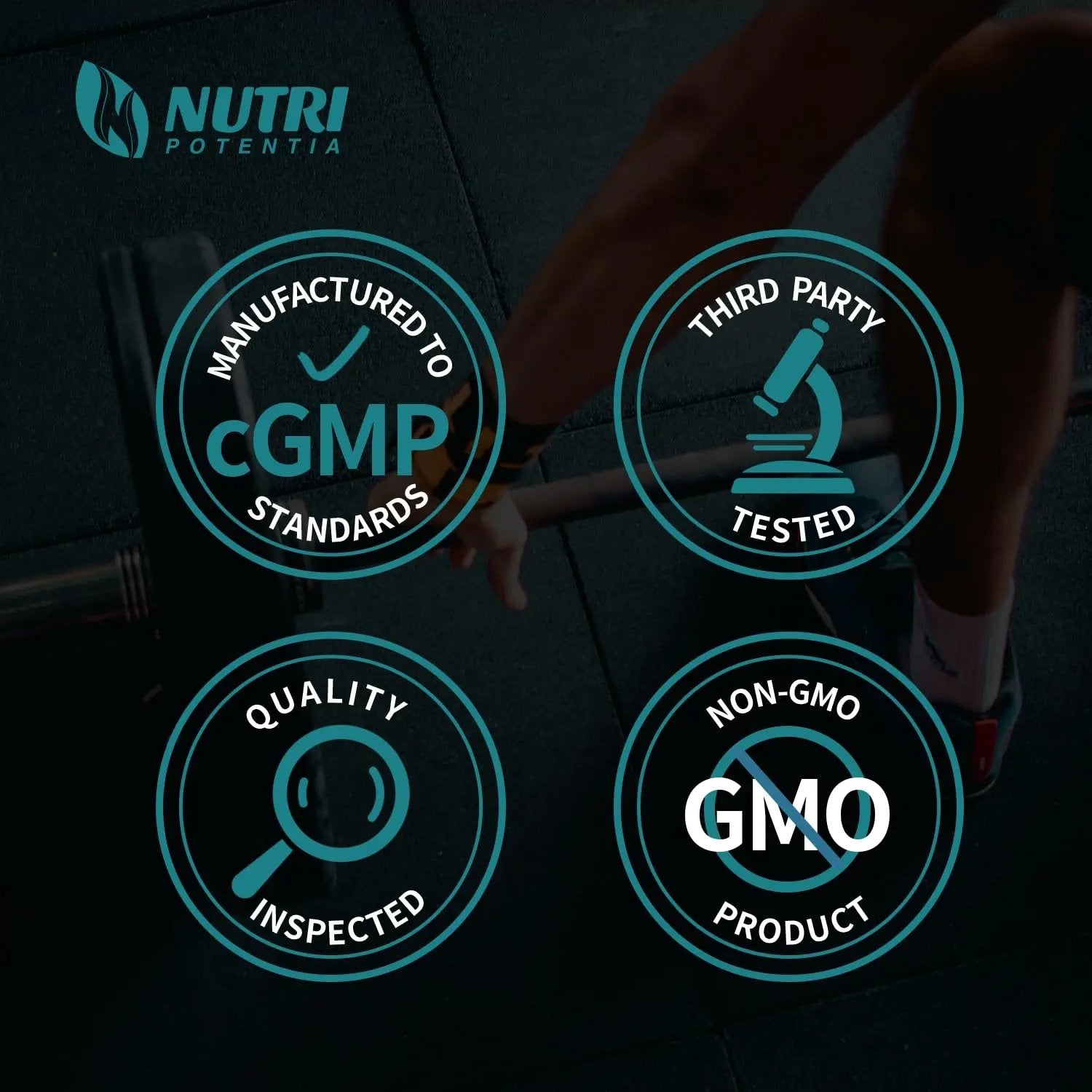 L-Citrulline Dl-Malate 2:1 Powder 500g, Pure L Citrulline Malate Supplement Preworkout Powder, Unflavored, No Additives