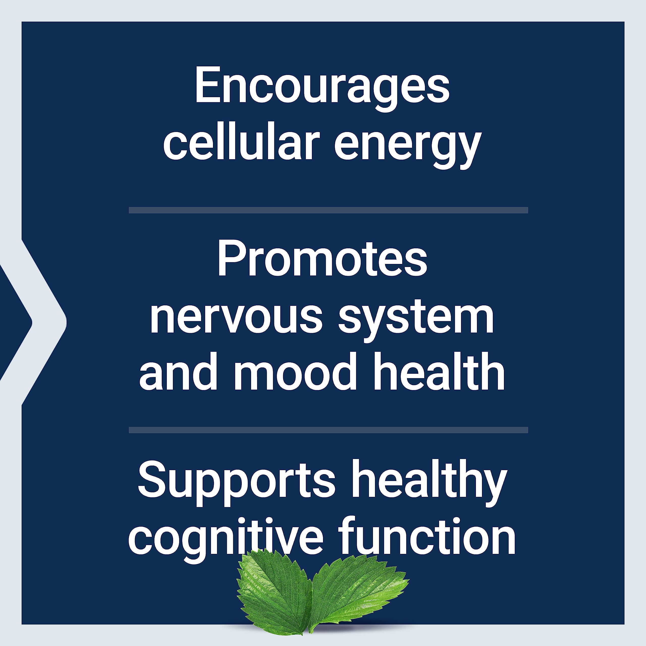 Life Extension Acetyl-L-Carnitine, Acetyl-L-Carnitine, vitamin C, Brain, mood & nerve health Life Extension