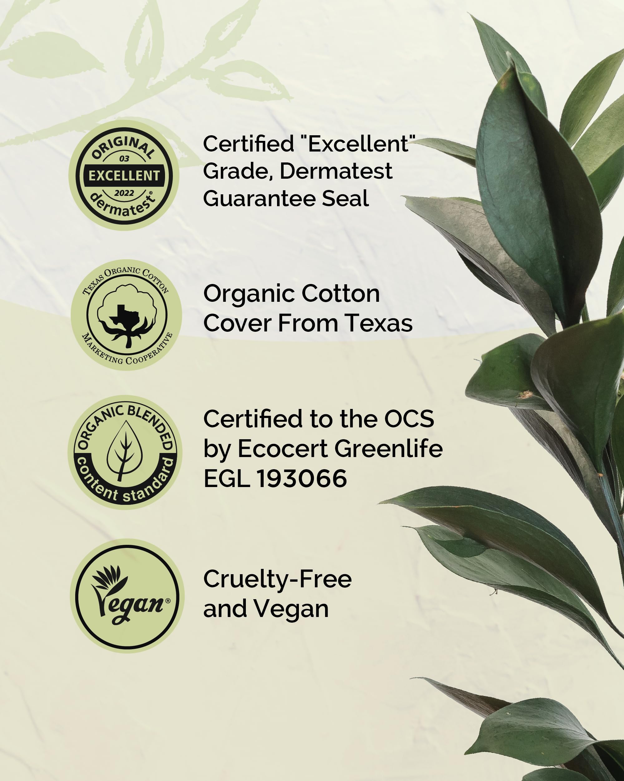 LABON Premium Vegan Organic Sanitary Pads (Regular, 25cm, 32 Counts) - 100% Organic Cotton Cover OCBON