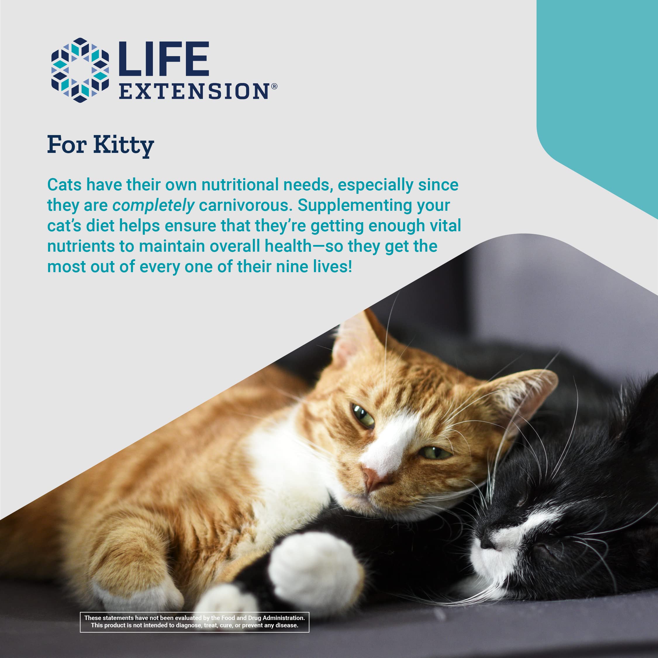 Life Extension Cat Mix – For Heart, Kidney & Pancreatic Function + Gut Health