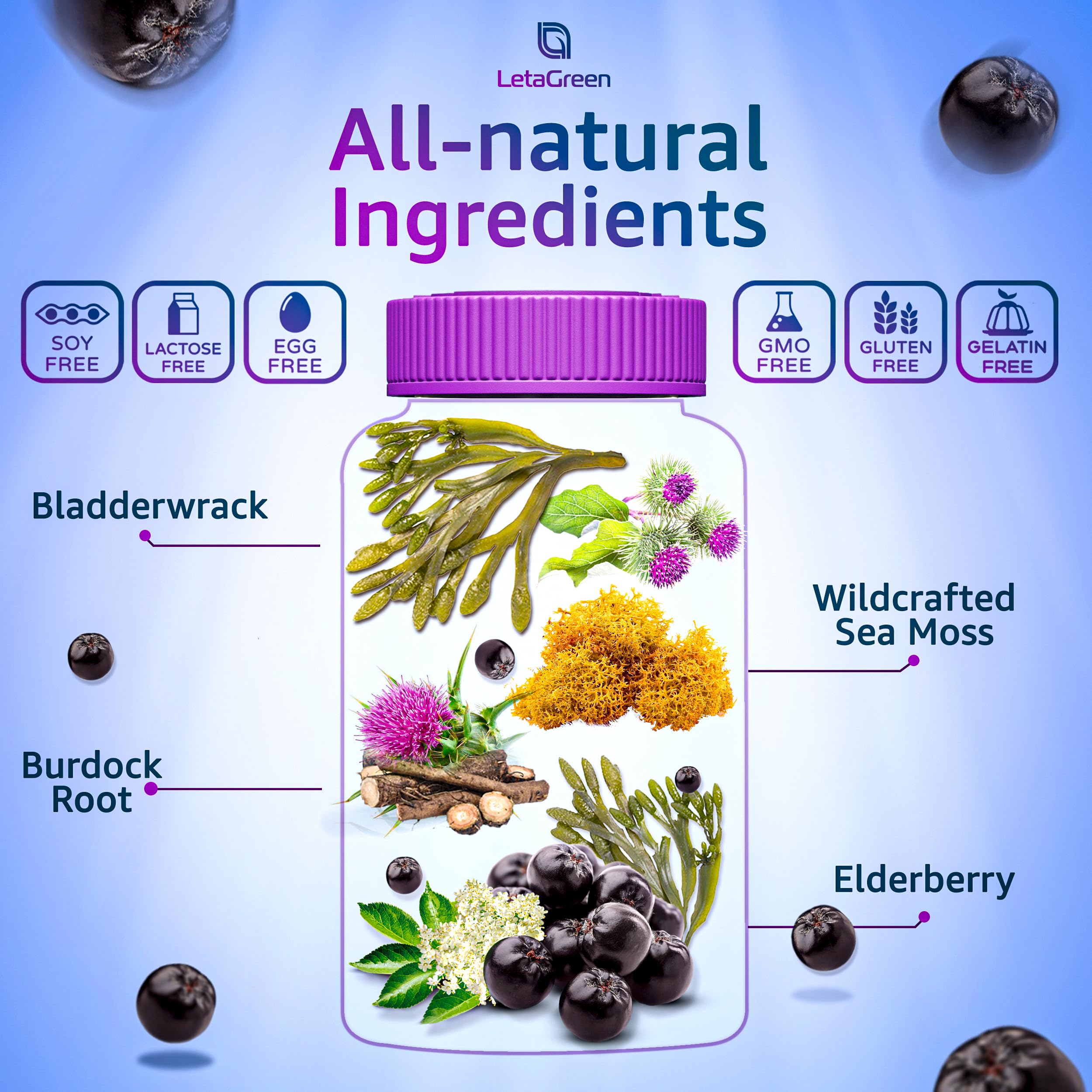 LetaGreen Irish Sea Moss Gummies - 60 Vegan Seamoss Gummies Bears
