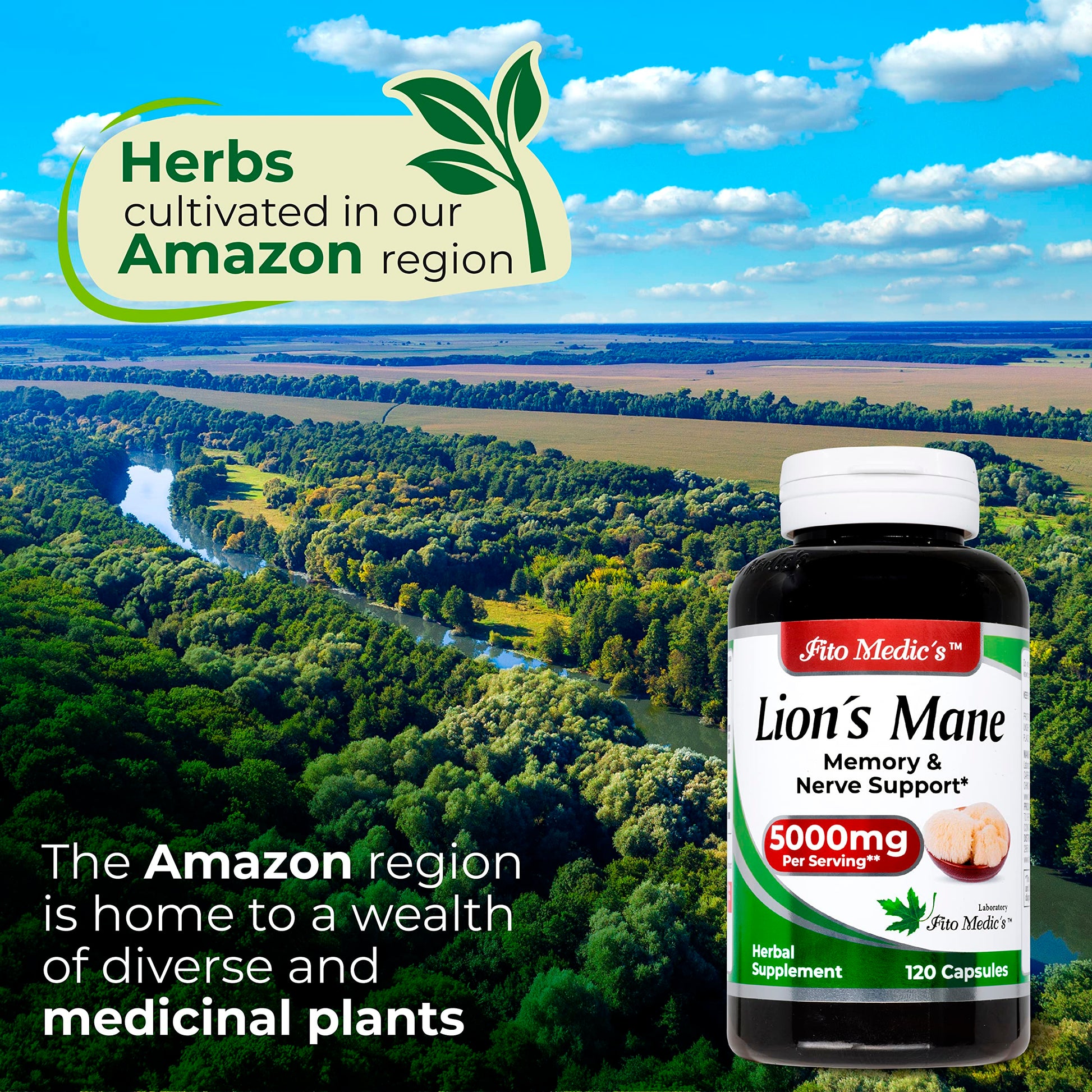 Lab | Lions Mane | 5000 mg per Serving | 120 Capsules | lions mane supplement | lions mane FITO MEDIC'S