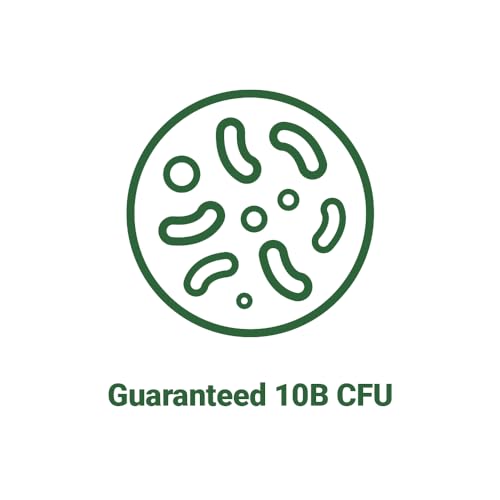 AceBiome BNRThin S30, Lactobacillus Gasseri BNR17, 10 Billion CFU Guaranteed AceBiome