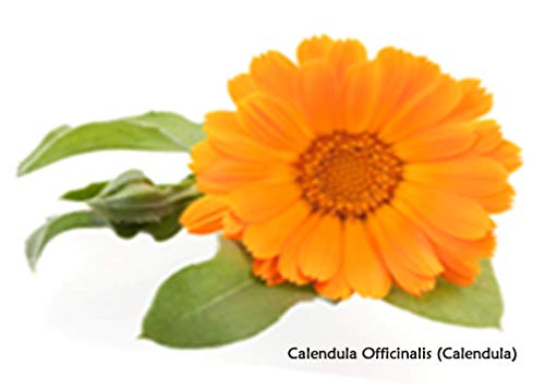 Yeast Rescue® Treatment 16 fl.oz. Refill - Economy Size