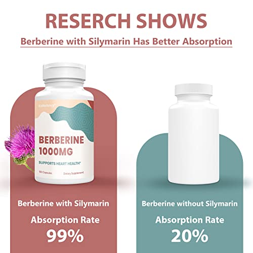 KoNefancy Berberine HCL Supplement 1000mg, High Absorption Berberine Plus Vegan KoNefancy