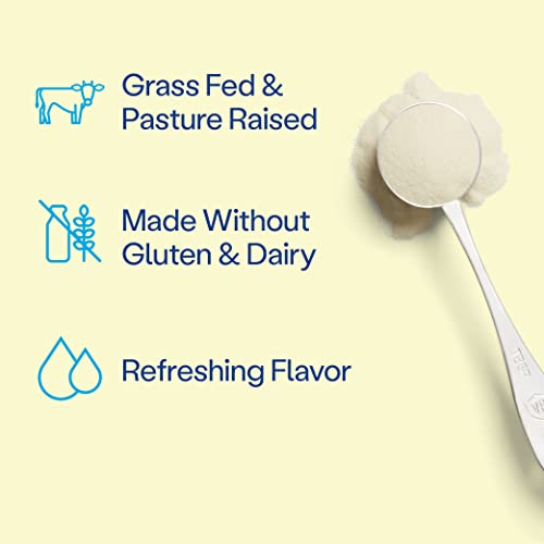 Vital Proteins Collagen Peptides Powder, Promotes Hair, Nail, Skin, Bone and Joint Health Vital Proteins