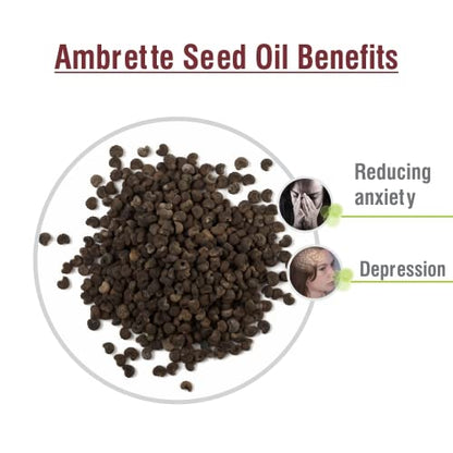 Crysalis Ambrette Seed (Abelmoschus moschatus) Oil - 0.51 Fl Oz (15ml)