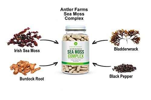 Antler Farms – 100% Pure Sea Moss Complex, 130 Capsules, Organic & Wildcrafted Irish Antler Farms