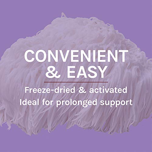 Host Defense, Lion's Mane Capsules, Promotes Mental Clarity, Focus and Memory Host Defense