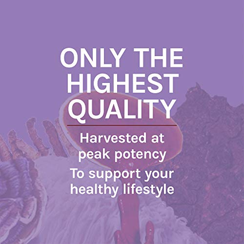 Host Defense, Lion's Mane Capsules, Promotes Mental Clarity, Focus and Memory Host Defense