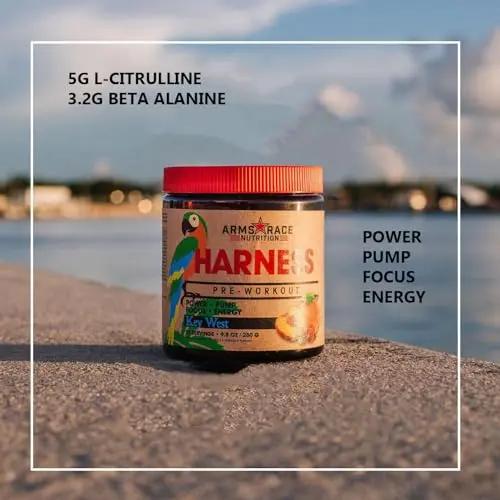 Arms Race Nutrition Harness Pre-Workout, 20 Servings (Key West) Arms Race Nutrition
