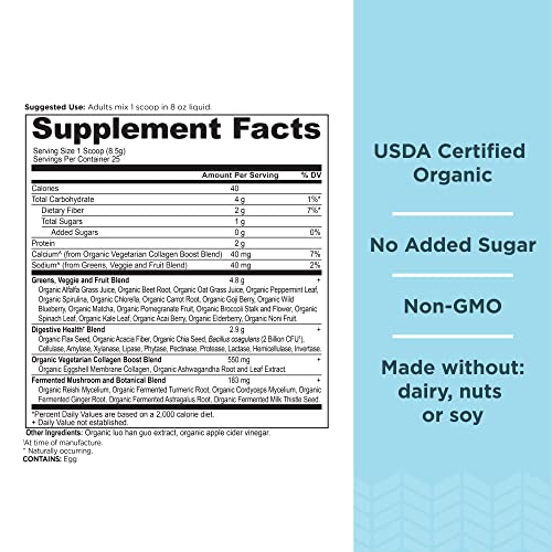 Ancient Nutrition Supergreens Powder, Organic Superfood Powder with Collagen Ancient Nutrition