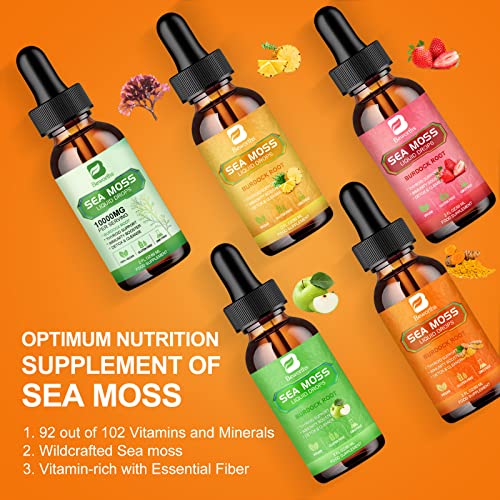 B BEWORTHS Sea Moss Liquid Drops - Organic Irish Sea Moss Raw Gel with Burdock Root B BEWORTHS