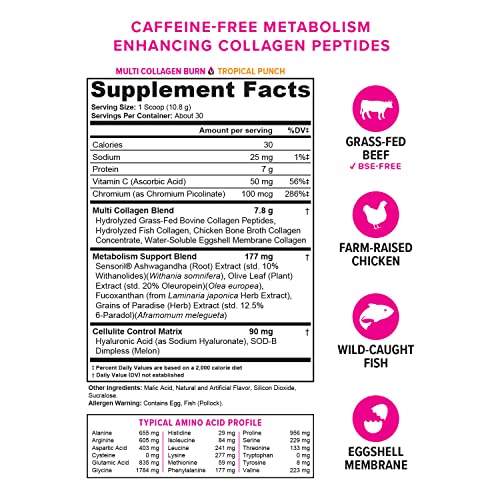 Hydrolyzed Collagen Peptides Powder for Women - Slimming Multi Collagen Burn Ultimate Vitauthority