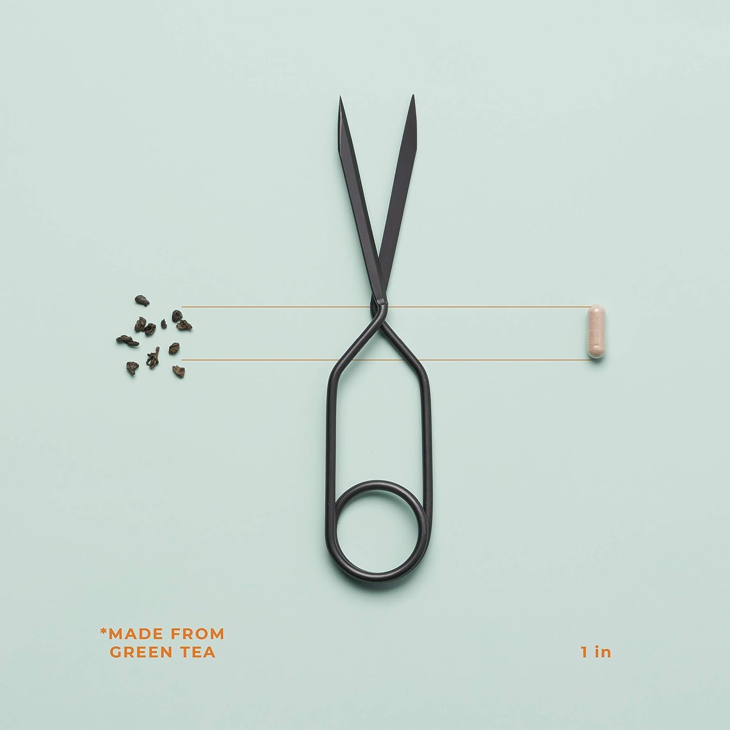 LifeSeasons - Metabolism - Weight Control Support & Energy Boosting Supplement