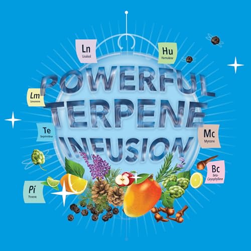 Integra Boost - Terpinolene Infusion - 4 Gram Terpene Essentials Two-Way Humidity Control at 62 Percent RH Integra Boost