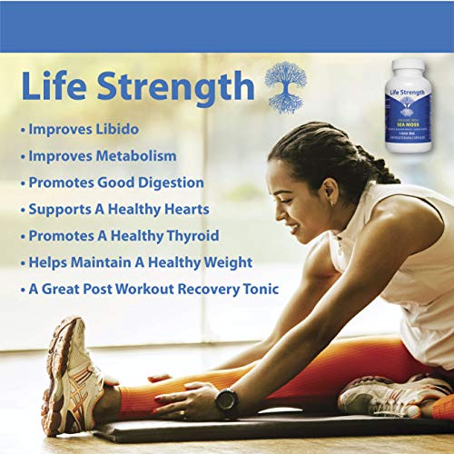 Life Strength Organic Sea Moss 120 CT Wildcrafted Irish Sea Moss and Bladderwrack Burdock Life Strength