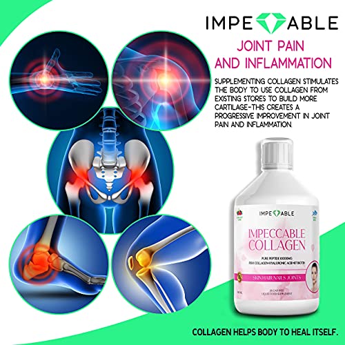 IMPECCABLE Collagen 10.000mg hydrolyzed Sugar Free Liquid Marine Collagen | Supplements for Women and Men Impeccable