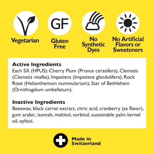 Bach RESCUE PASTILLES, Cranberry Flavor, Natural Stress Relief Lozenges RESCUE