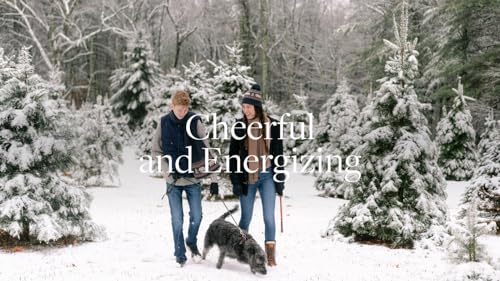 Aera Majestic Fir Home Fragrance Scent Refill - Notes of Fir and Juniper - Works with The Aera Diffuser AERA