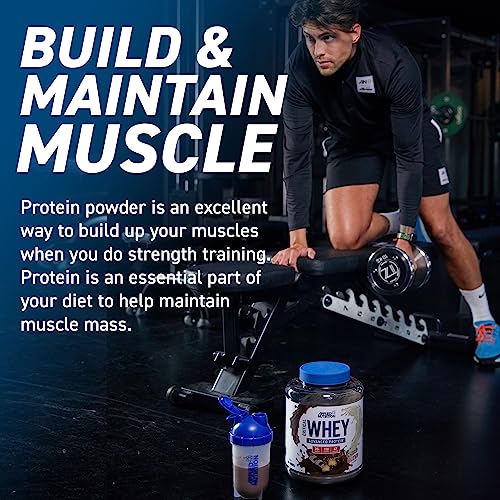 Applied Nutrition Critical Whey Protein Powder 450g - High Protein Powder, Protein Milkshake Applied Nutrition