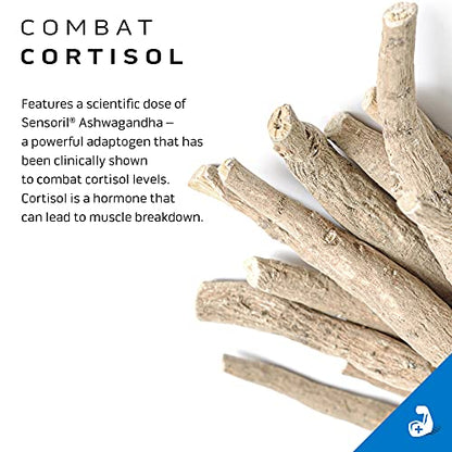 Creatine Powder | MuscleTech Cell-Tech Elite Creatine Powder | Post Workout Recovery