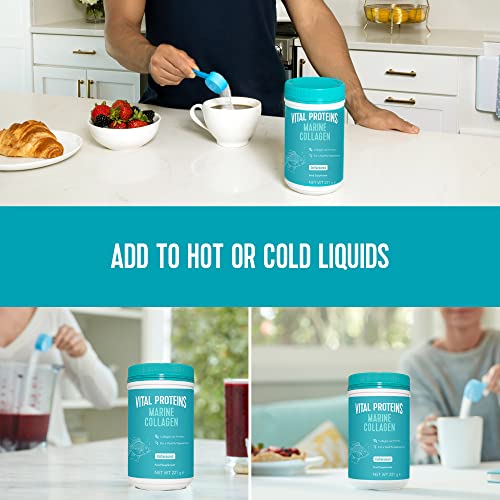 Vital Proteins Marine Collagen Peptides Powder Supplement - Hydrolyzed Collagen - 221g Canister VITAL PROTEINS