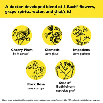 Day & Night Bundle, Bach RESCUE REMEDY Spray, Natural Stress Relief [and] RESCUE SLEEP Spray