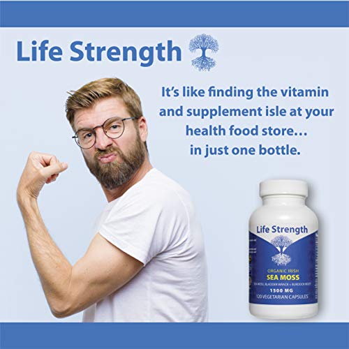 Life Strength Organic Sea Moss 120 CT Wildcrafted Irish Sea Moss and Bladderwrack Burdock Life Strength