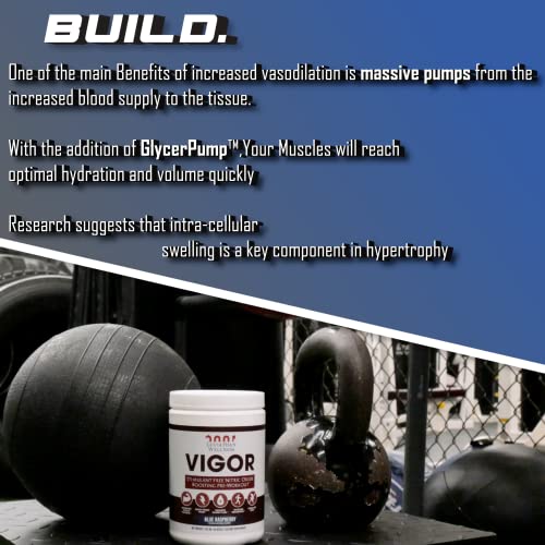 Leviathan Wellness Vigor - Stimulant Free, Nitric Oxide Boosting Pre-Workout Powder Leviathan Wellness