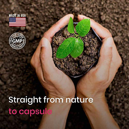 Coshisensu Berberine HCI 1200mg - Premium Berberine Supplements - 60 Capsules Coshisensu