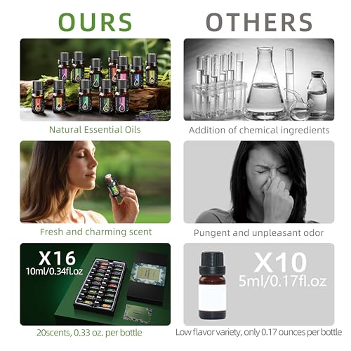 KMSCO Essential Oils Set -Top 16(0.33Fl Oz) Organic Plant Natural Fragrance Scents Blends Oil KMSCO