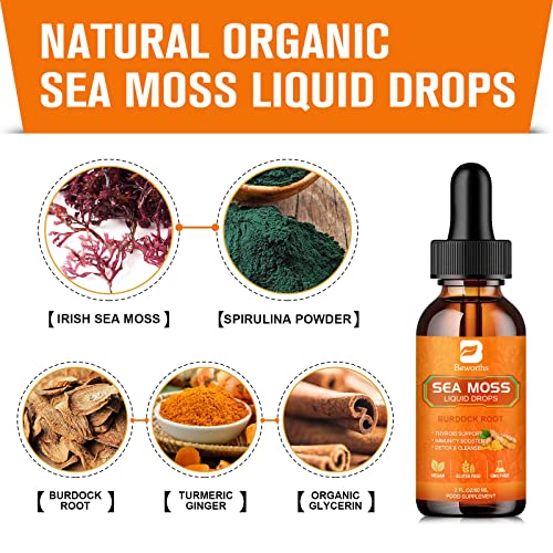 B BEWORTHS Sea Moss Liquid Drops - Organic Irish Sea Moss Raw Gel with Burdock Root B BEWORTHS