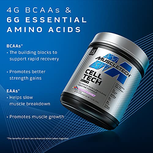 Creatine Powder | MuscleTech Cell-Tech Elite Creatine Powder | Post Workout Recovery