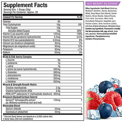 Creatine Powder | MuscleTech Cell-Tech Elite Creatine Powder | Post Workout Recovery