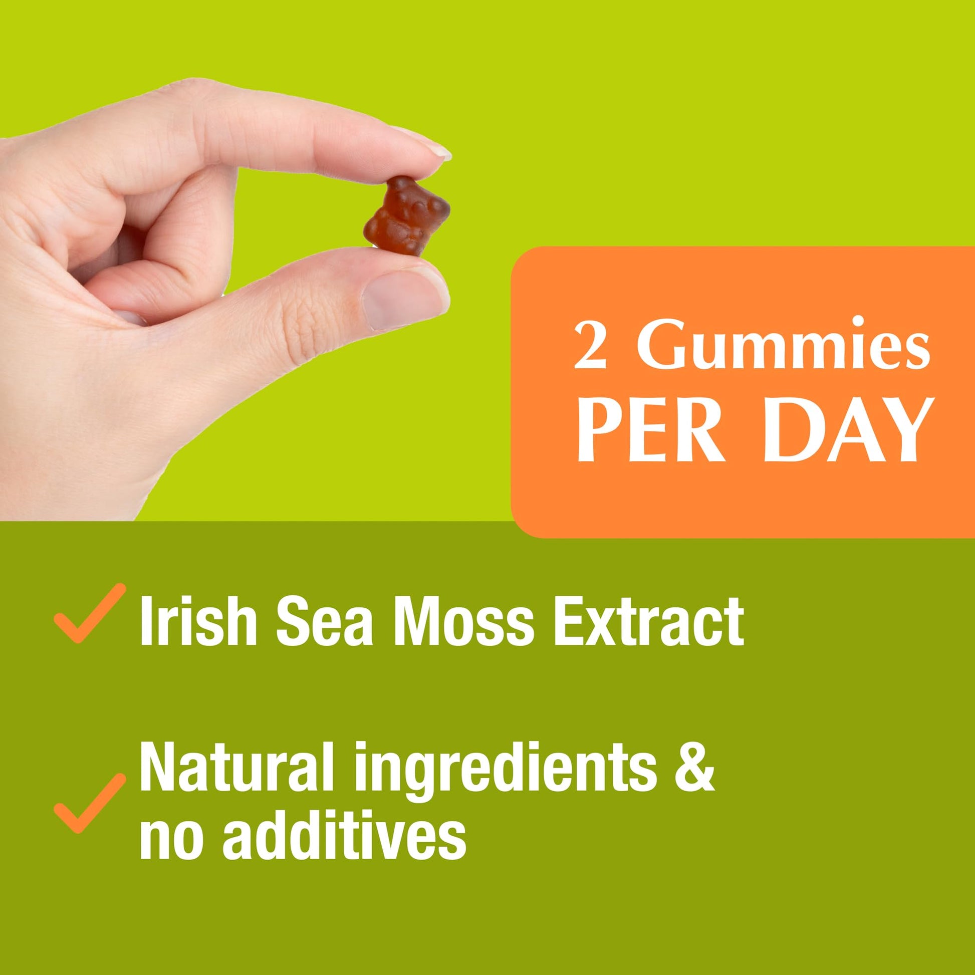 Jiva Botanicals - Irish Sea Moss Gummies with Bladderwrack & Burdock Root 3000mg Jiva Botanicals