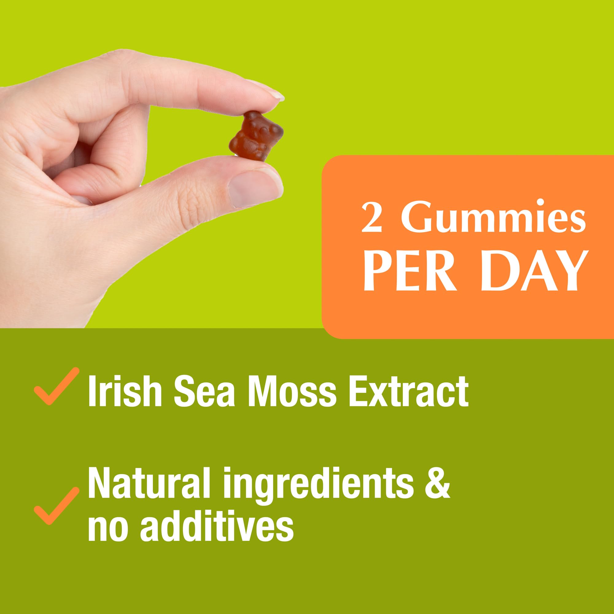 Jiva Botanicals - Irish Sea Moss Gummies with Bladderwrack & Burdock Root 3000mg Jiva Botanicals