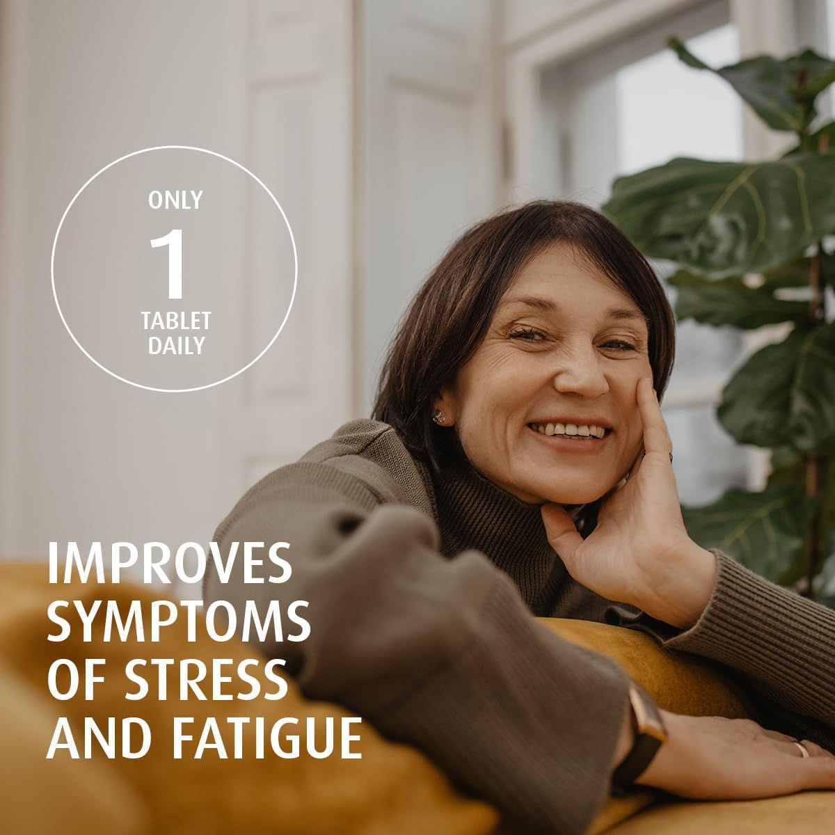 A VOGEL Organic Menopause, 90 CT A.Vogel