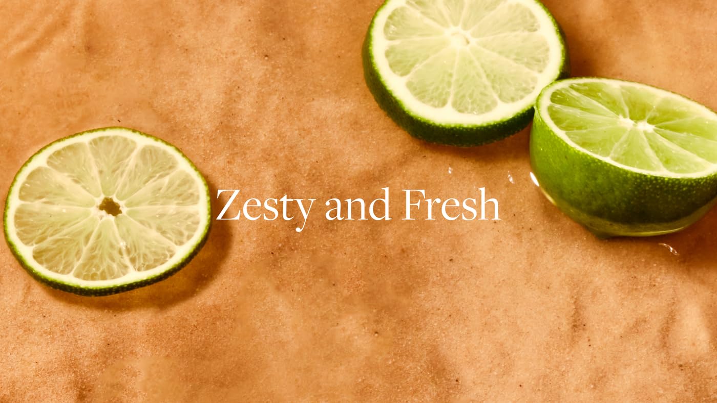 Aera Mini Skylar Lime Sands Home Fragrance Scent Refill - Notes of Lime and Sea Salt - Works AERA