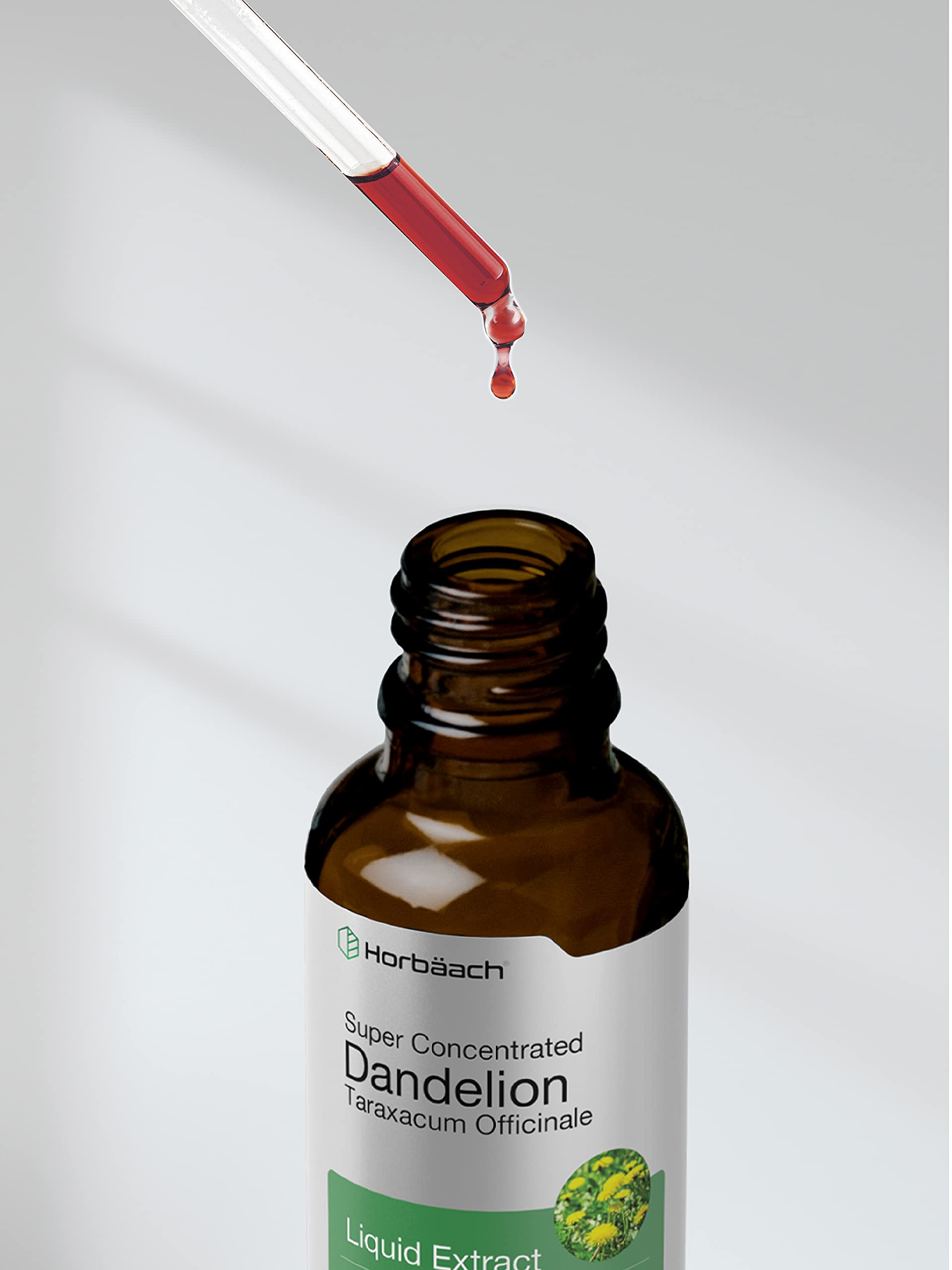 Dandelion Root Extract | 2 fl oz | Super Concentrated | Alcohol Free Liquid Tincture Horbäach