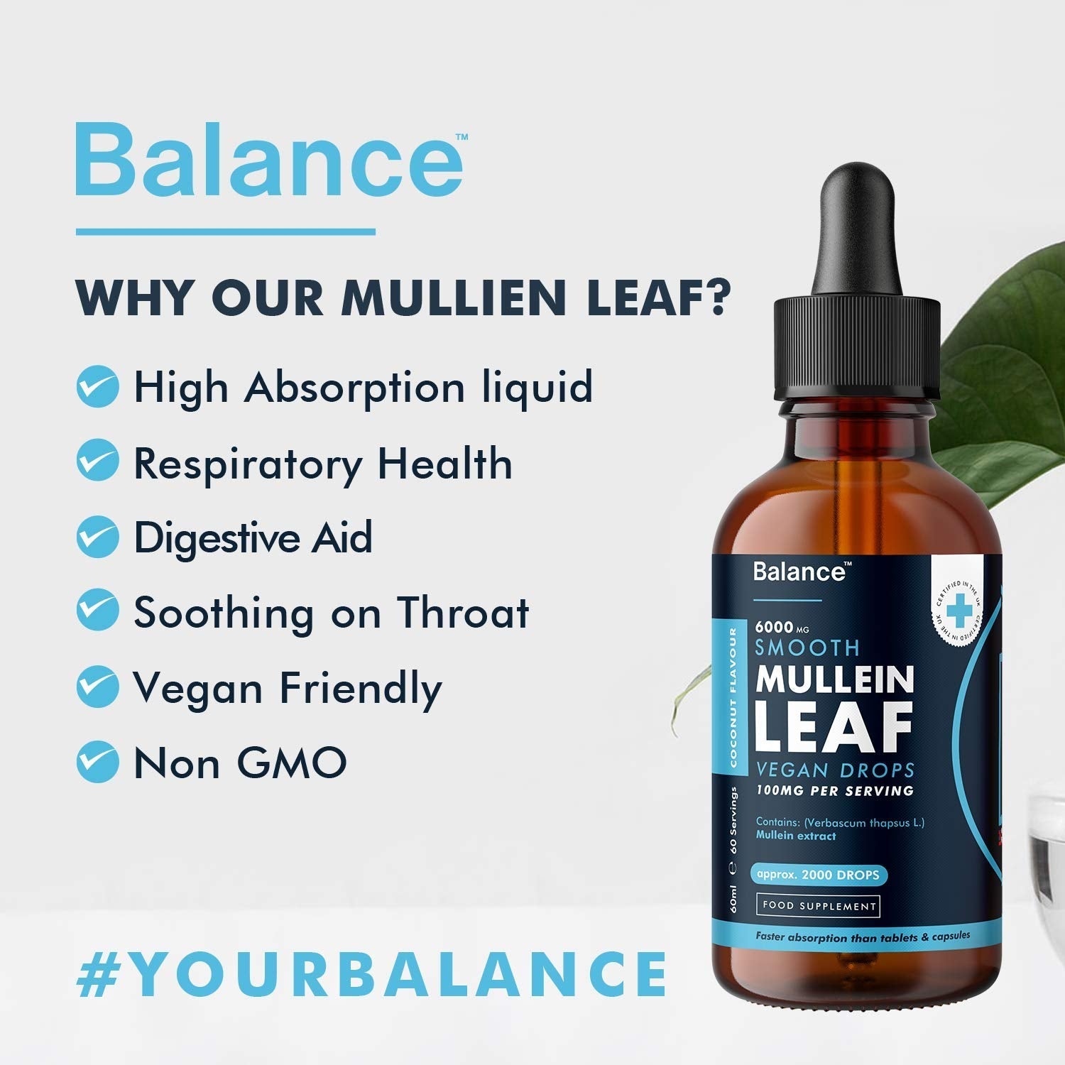 Balance Mullein Leaf Liquid Drops - 60ml for 2 Month Supply - High Strength - Vegan Balance