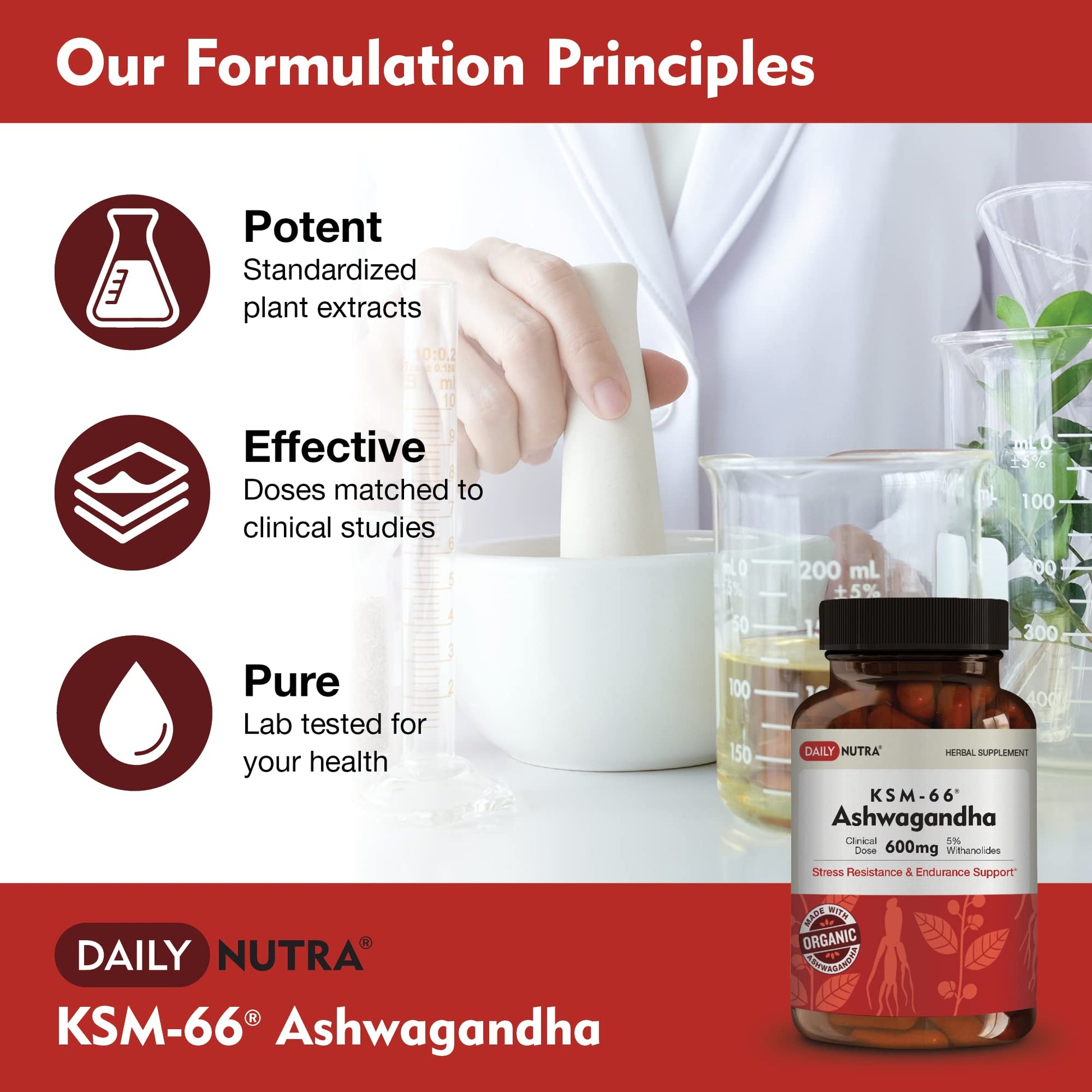 DailyNutra KSM-66 Ashwagandha 600mg Organic Root Extract - High Potency Supplement DailyNutra
