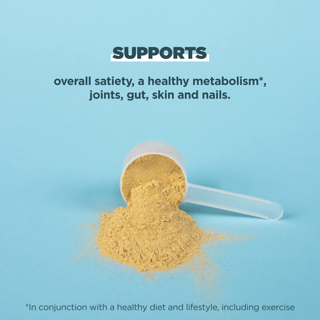 Ancient Nutrition Bone Broth Protein Powder, Tomato Basil, Grass-Fed Chicken and Beef 