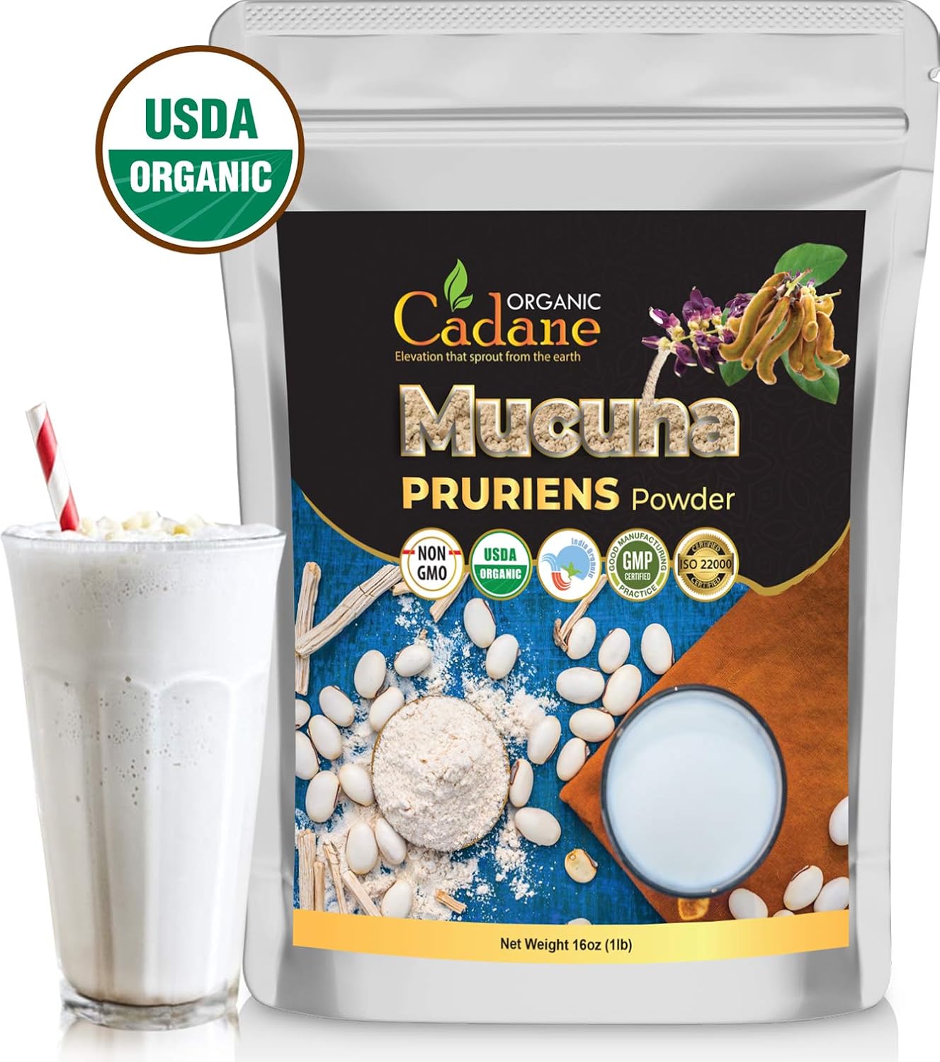 Organic Cadane Mucuna Pruriens Powder 1 Pound | Promotes Brain Health, Supports Immune System, Energy | USDA Certified Vegan-Friendly Supplements Brain Health Support